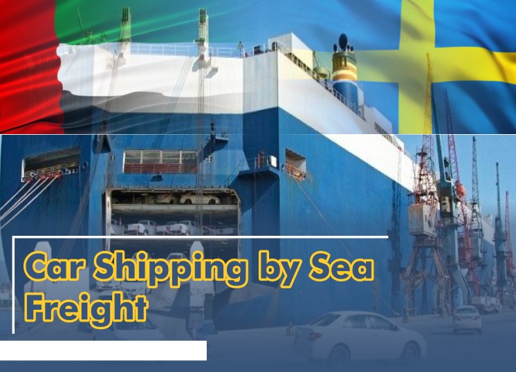 Car Shipping by Sea Freight.