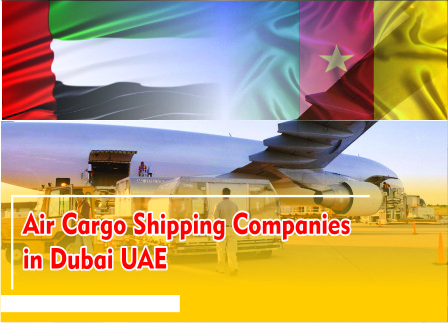 Shipping From Dubai To Cameroon​