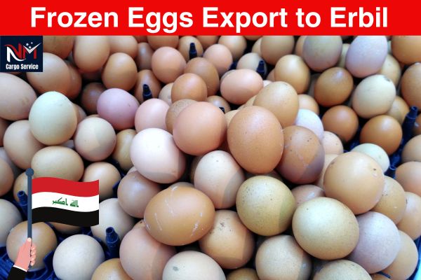 Frozen Eggs Export to Erbil