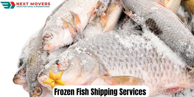 Frozen Fish Shipping Services To Jeddah From Dubai