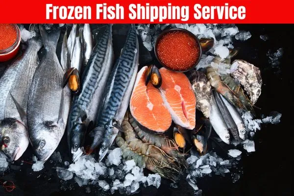 Frozen Fish Shipping Service​