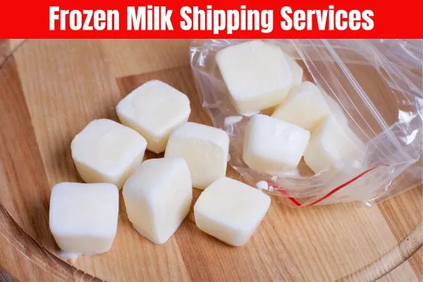 Frozen Milk Shipping Services to Baghdad from Dubai