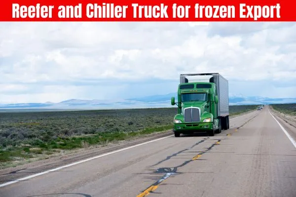 Reefer and Chiller Truck for Frozen Export Service