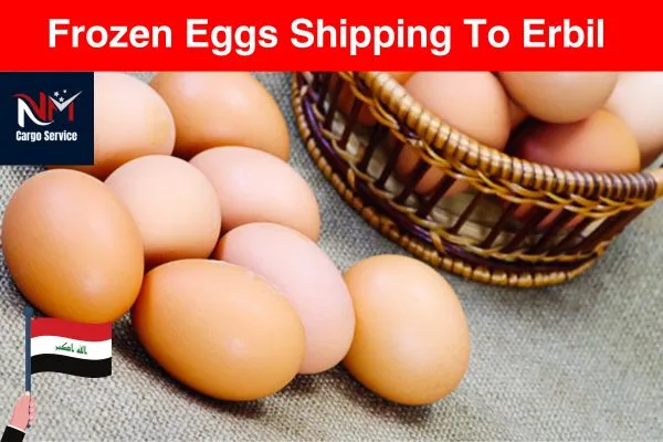 Frozen Eggs Shipping to Erbil
