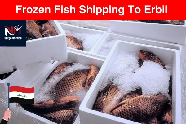 Frozen Fish Shipping to Erbil
