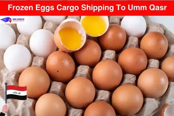 Frozen Eggs Cargo Shipping