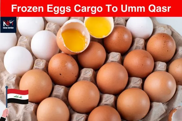 Frozen Eggs Cargo To Umm Qasr