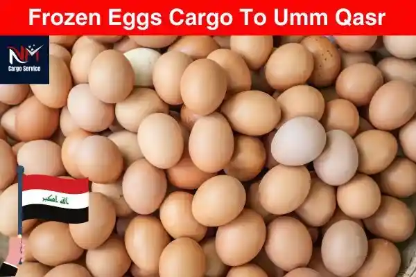 Frozen Eggs Cargo To Umm Qasr