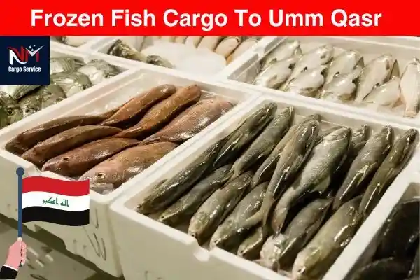 Frozen Fish Cargo To Umm Qasr