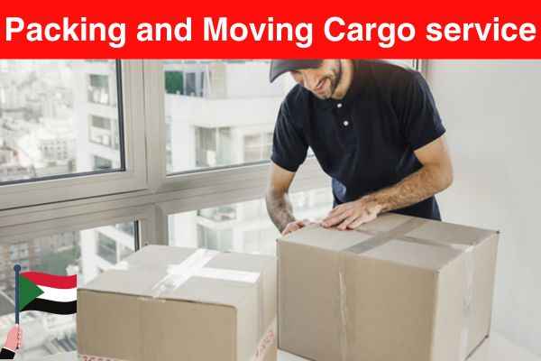 Packing and Moving Cargo Service