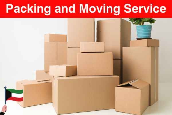 Packing and Moving Service Business bay