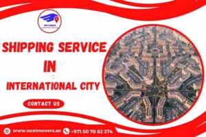 Shipping Service in International City