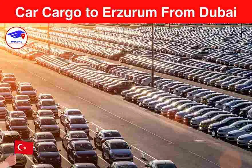 Car Cargo to Erzurum From Dubai