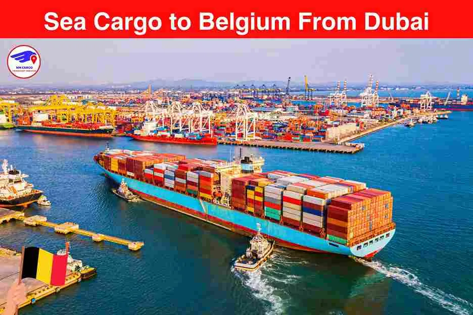 Sea Cargo to Belgium From Dubai