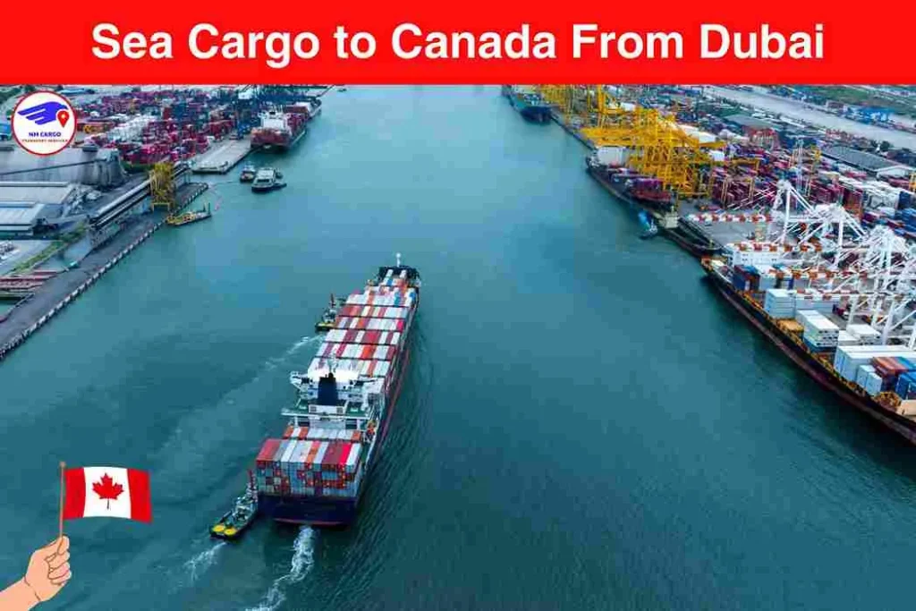 Sea Cargo to Canada From Dubai