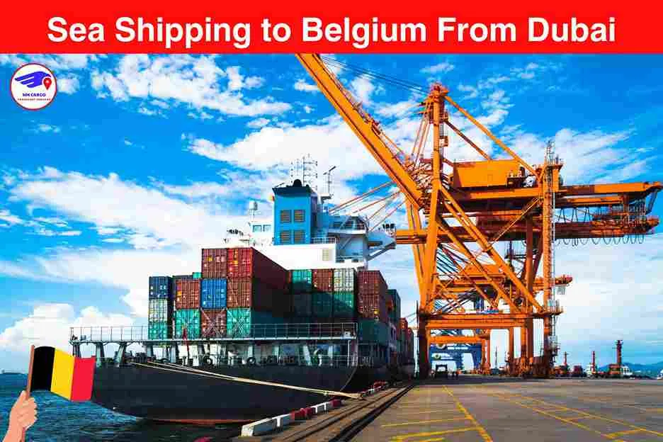 Sea Shipping to Belgium From Dubai