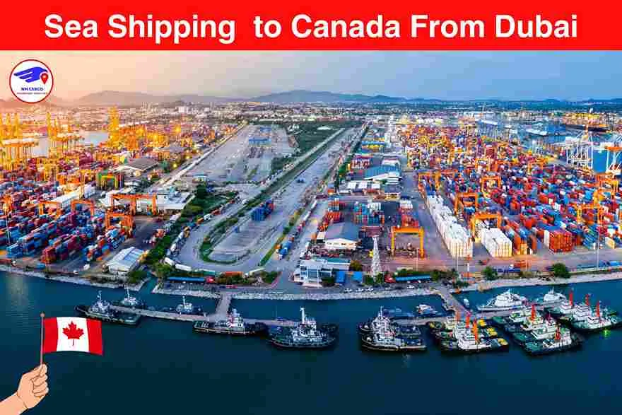 Sea Shipping to Canada From Dubai