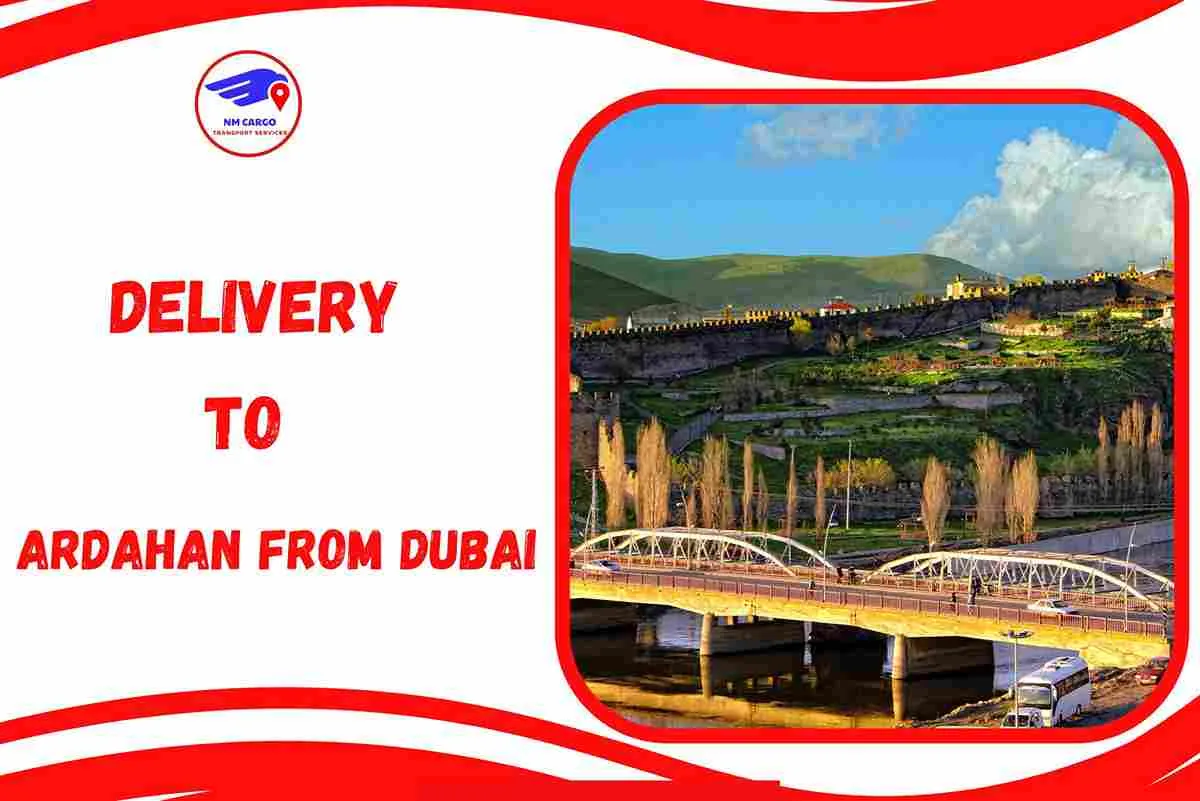 Delivery To Ardahan From Dubai