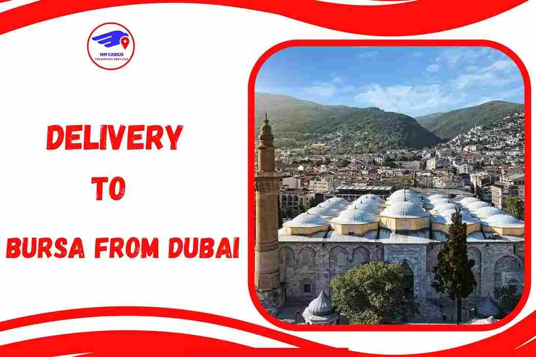 Delivery To Bursa From Dubai