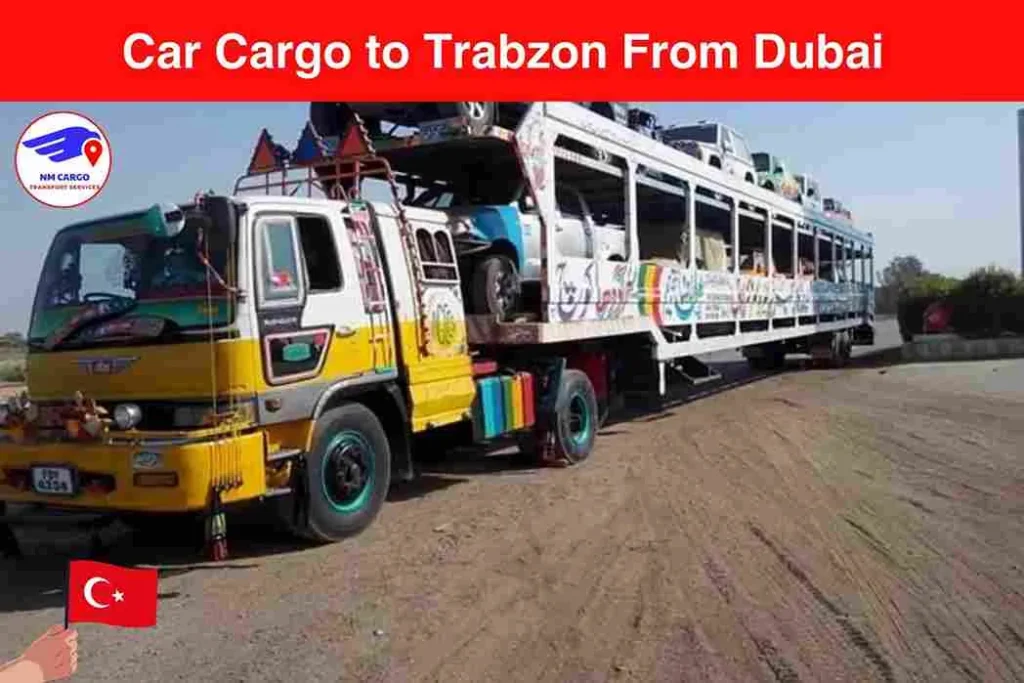 Car Cargo to Trabzon From Dubai | Next Movers