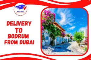 Delivery To Bodrum From Dubai