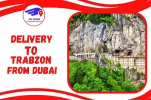 Delivery To Trabzon From Dubai