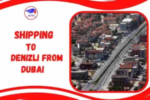 Shipping to Denizli from Dubai