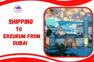 Shipping To Erzurum From Dubai
