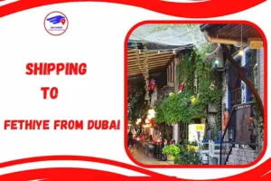 Shipping To Fethiye From Dubai