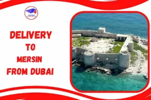 Delivery To Mersin From Dubai