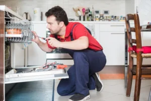 Expert Dishwasher Repair in Dubai Your Go-To Solution