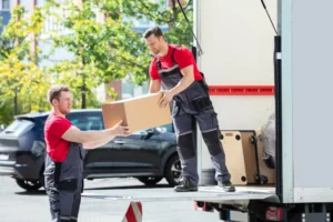 Movers and Packers in Dubai