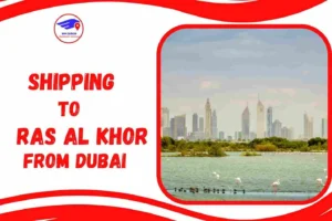 Shipping To Russia From Ras Al Khor