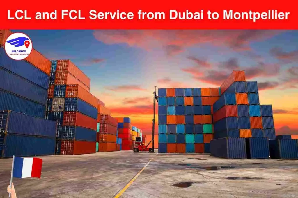 LCL and FCL Service from Dubai to Montpellier