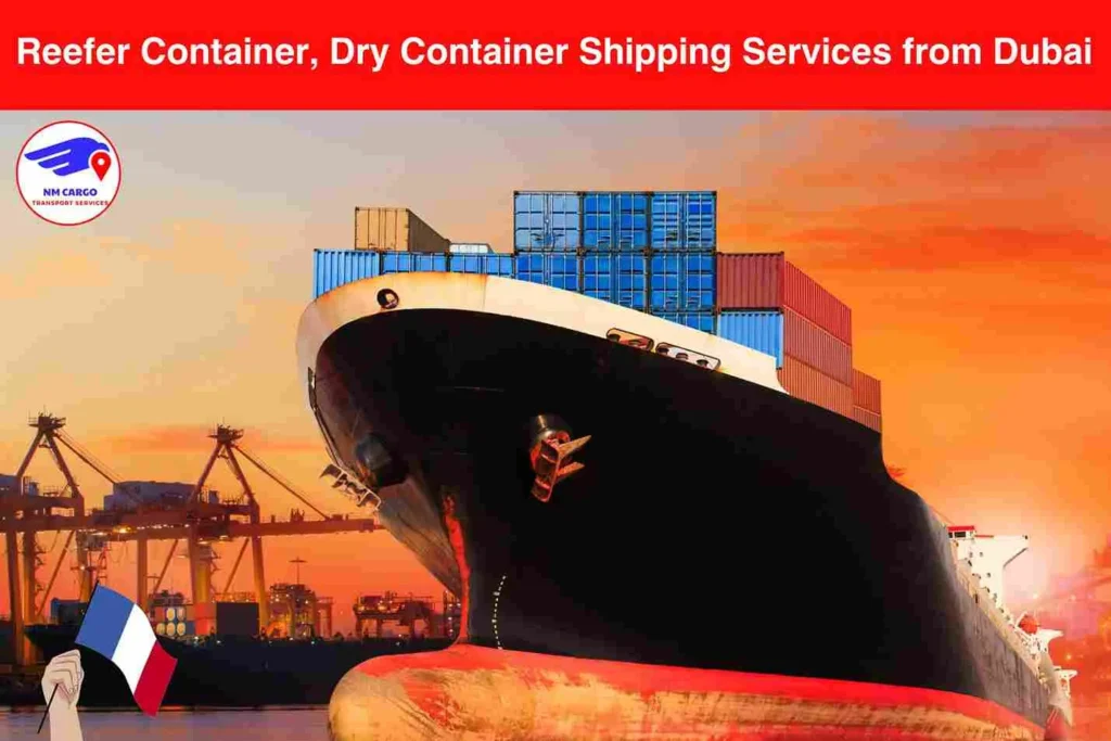 Reefer Container, Dry Container Shipping Services from Dubai to Saint Etienne