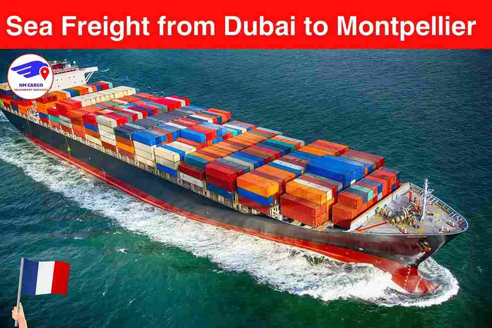 Sea Freight from Dubai to Montpellier