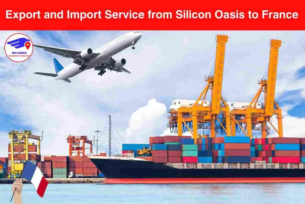 Export and Import Service from Silicon Oasis to France