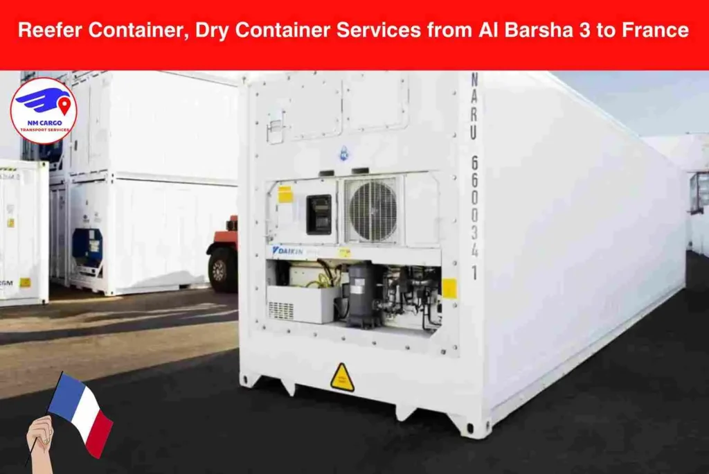 Reefer Container, Dry Container Services from Al Barsha 3 to France