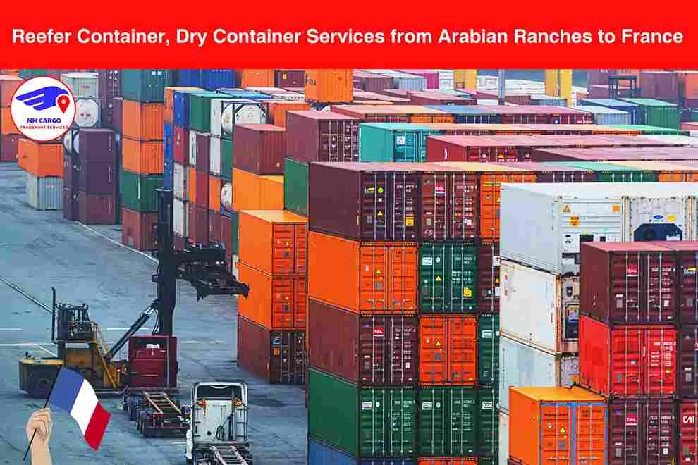 Reefer Container, Dry Container Services from Arabian Ranches to France