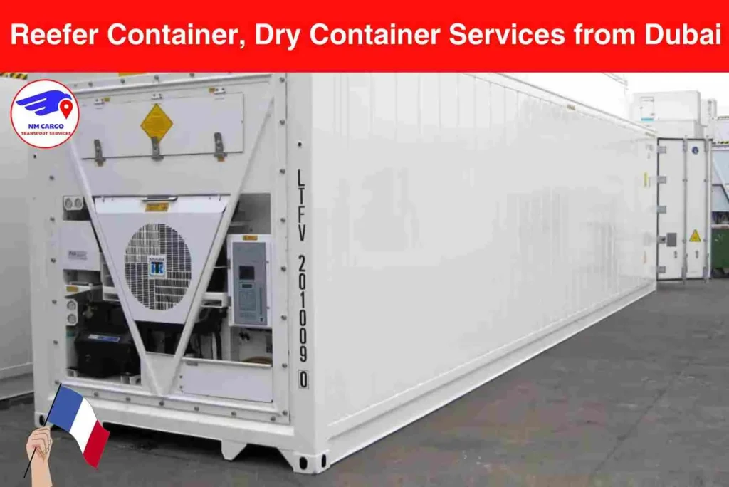 Reefer Container, Dry Container Services from Dubai to Villeurbanne