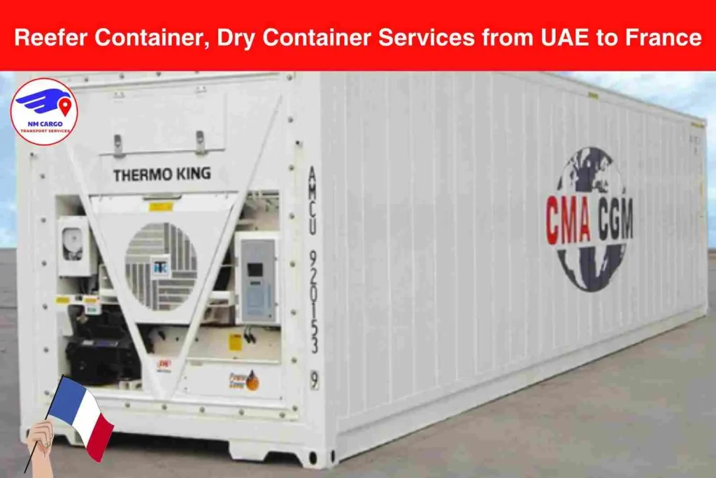 Reefer Container, Dry Container Services from UAE to France