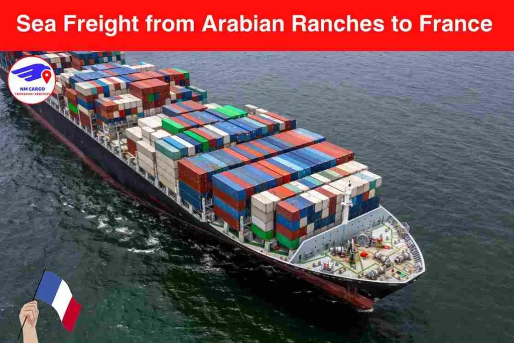 Sea Freight from Arabian Ranches to France