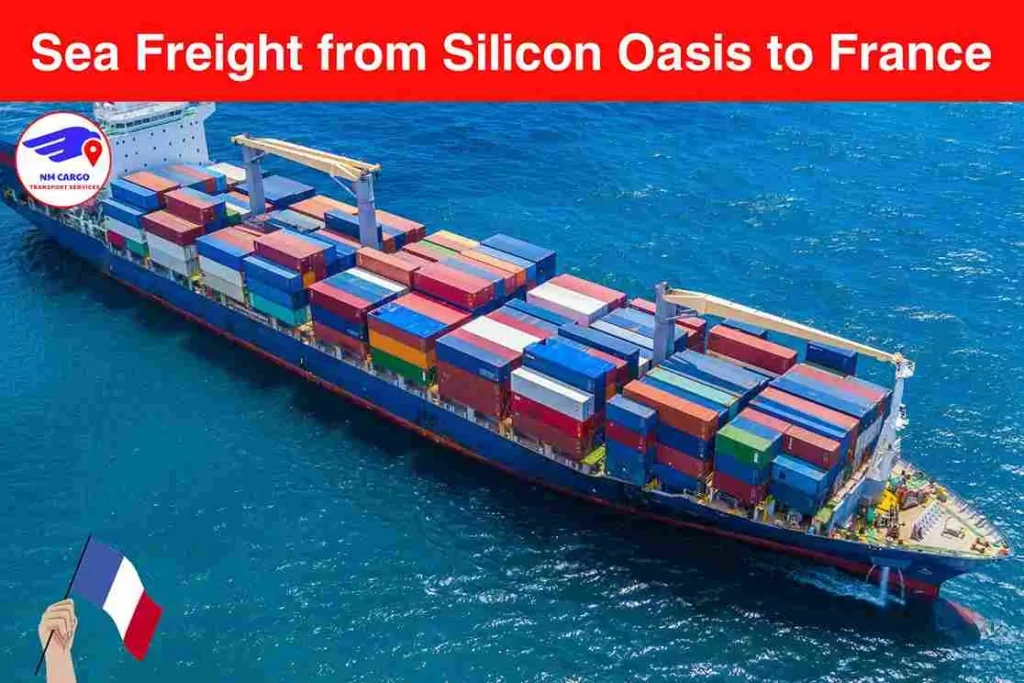 Sea Freight from Silicon Oasis to France