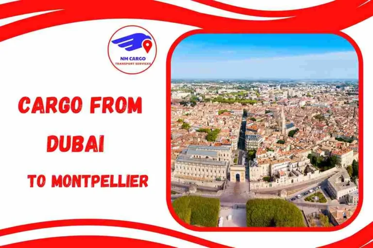 Cargo from Dubai to Montpellier