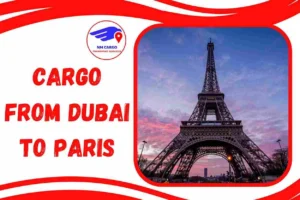 Cargo from Dubai to Paris