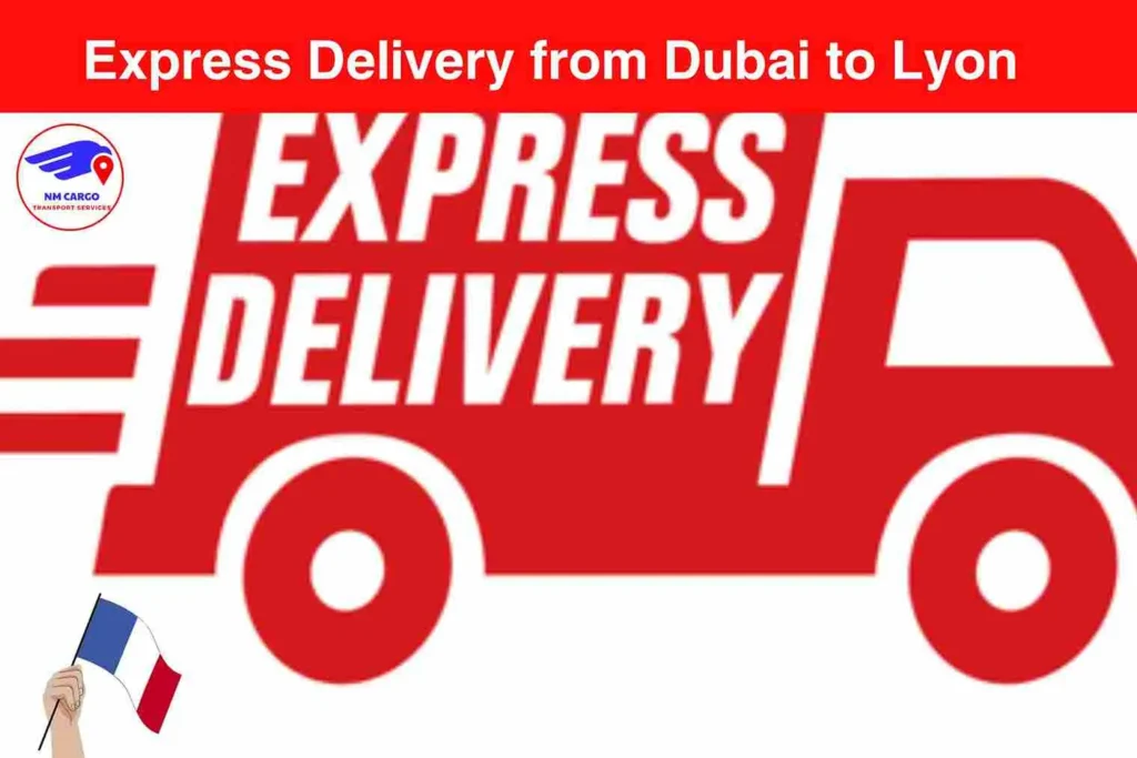 Express Delivery from Dubai to Lyon​