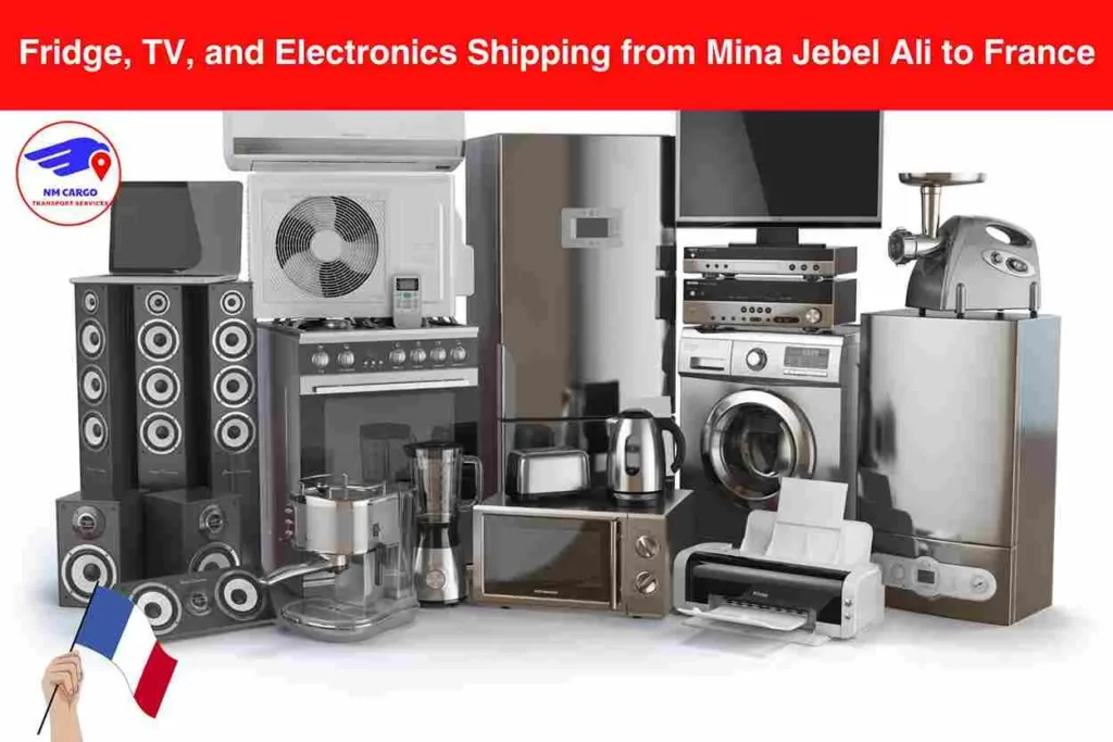 Fridge, TV, and Electronics Shipping from Mina Jebel Ali to France