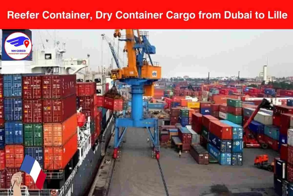 Reefer Container, Dry Container Cargo from Dubai to Lille​