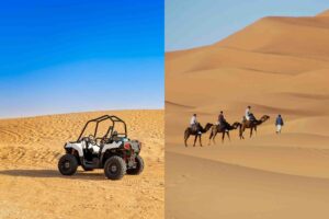 Camel Ride vs. Dune Buggy: Which Desert Adventure Suits You Best?