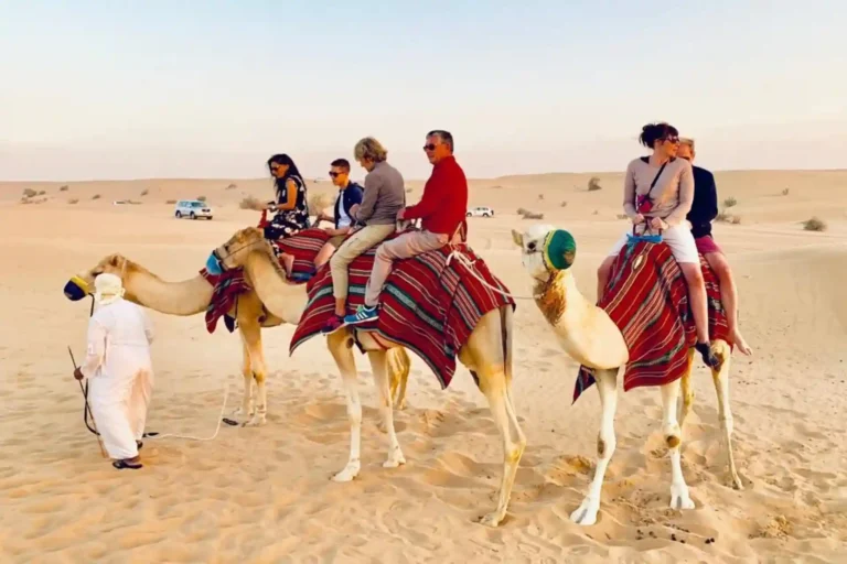 Best Time for Morning Desert Safari in Dubai